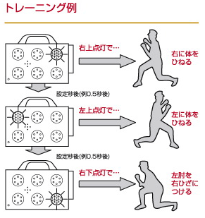 ザ・リアクション トレーニング例